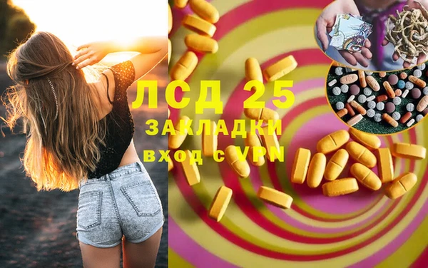 ПСИЛОЦИБИНОВЫЕ ГРИБЫ Лиски